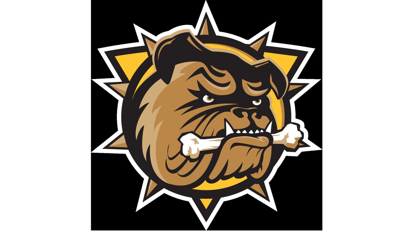 Brantford Bulldogs vs. Owen Sound Attack
