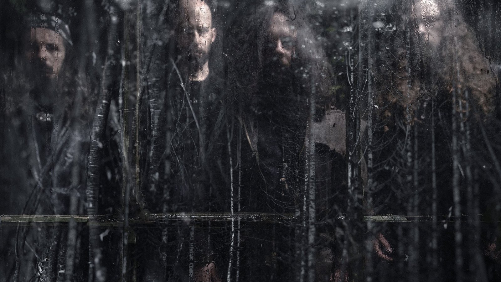 WOLVES IN THE THRONE ROOM