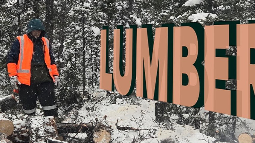 Lumber