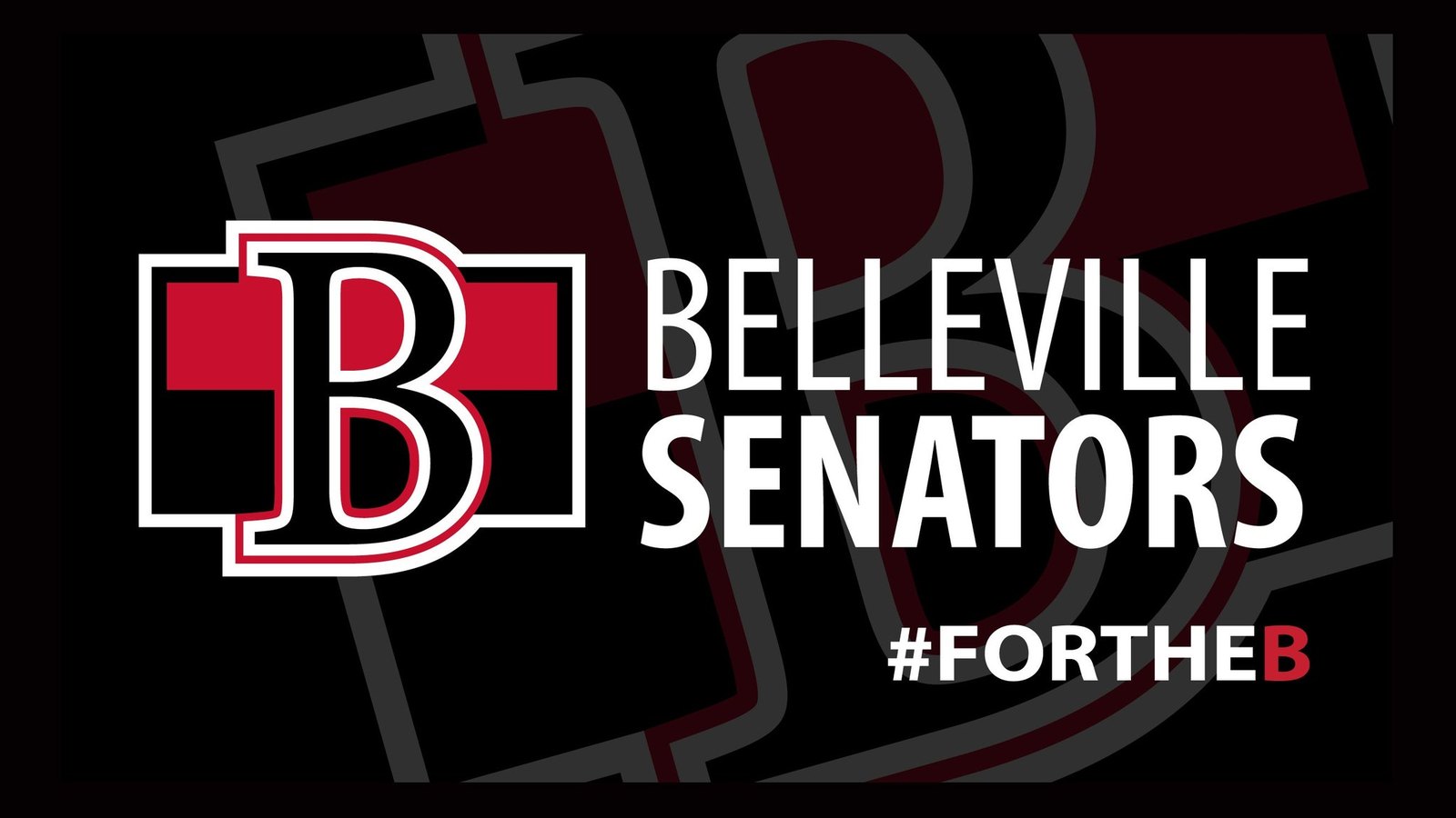 Belleville Senators V Utica Comets